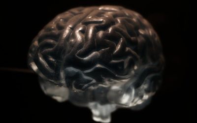 Conseils avant d’acheter un puzzle en 3D