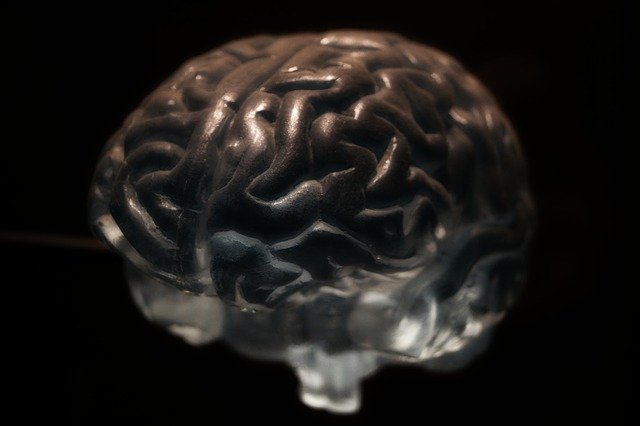 Conseils avant d’acheter un puzzle en 3D